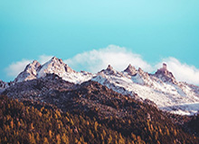 王勤伯：弃赛门，为意大利足球圆场的大转弯审判